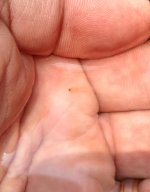 IMG_20160527_223556.jpg