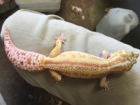 IMG_0299.jpg