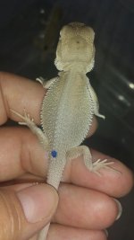 20160524_172357.jpg