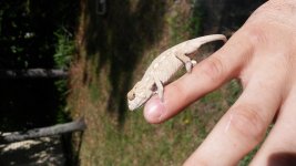 20160424_162658.jpg