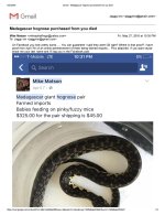 Mike_reply-page-001.jpg