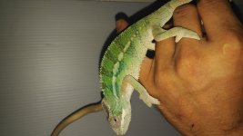 20160419_182236.jpg