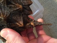 IMG_3462.jpg