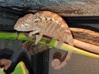 20160508_103249.jpg