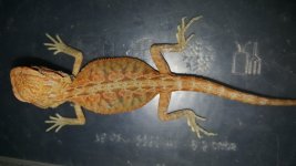 20160707_163644.jpg