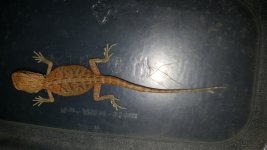 20160707_163637.jpg