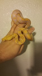 20160304_073018.jpg