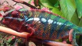 20151206_095430.jpg