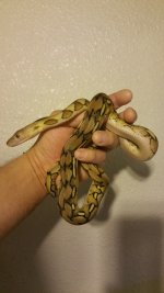 20160304_073058.jpg