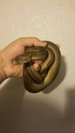 20160304_073212.jpg