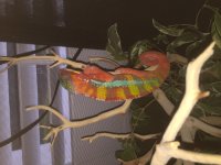 IMG_4185.jpg