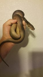 20160304_073128.jpg