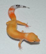 b1alani15f3-27.jpg