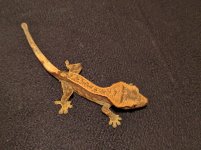 IMG_20160512_210617.jpg