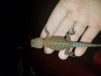 20160707_200024.jpg