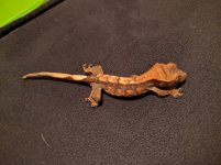 IMG_20160512_210903.jpg