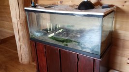 20160523_141047.jpg