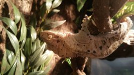 20160205_123359.jpg