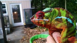 IMG_20160430_191355410.jpg
