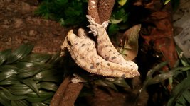 20160205_123326.jpg