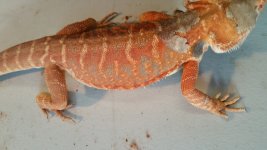 20160205_123050.jpg