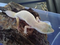 20160404_165608.jpg