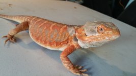 20160205_123057.jpg