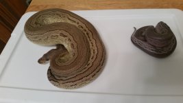 20160611_160304.jpg