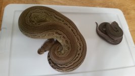 20160611_160316.jpg