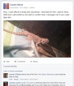 free dragon 12.2.jpg