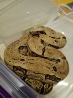 IMG_20160515_082154.jpg
