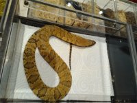 IMG_20160515_102337.jpg
