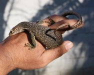 IMG_5262.jpg