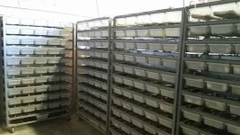 Mouse racks 2.jpg