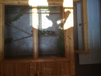 IMG_0083.jpg