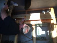 IMG_0084.jpg