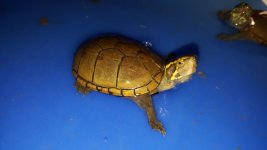 IMG_20160421_101251.jpg