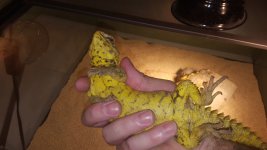 20160611_140223.jpg