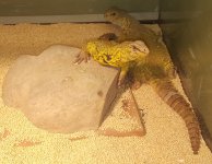 20160611_171835.jpg