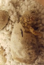 20160524_213435.jpg