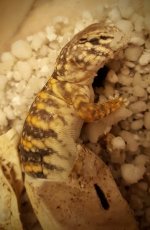 20160525_210436.jpg