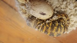 20160525_081820.jpg