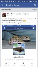 Screenshot_20160612-045405.jpg