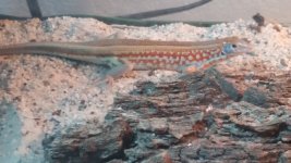 20160130_171846.jpg