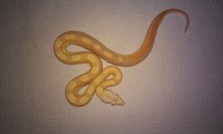 20160722_231843.jpg