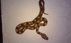 20160722_232208.jpg