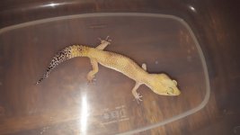 20160528_195514.jpg