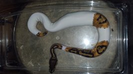 20160424_125235.jpg