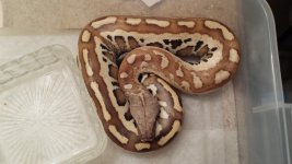 20160203_165625.jpg