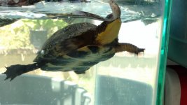 IMG_20160625_141450134.jpg